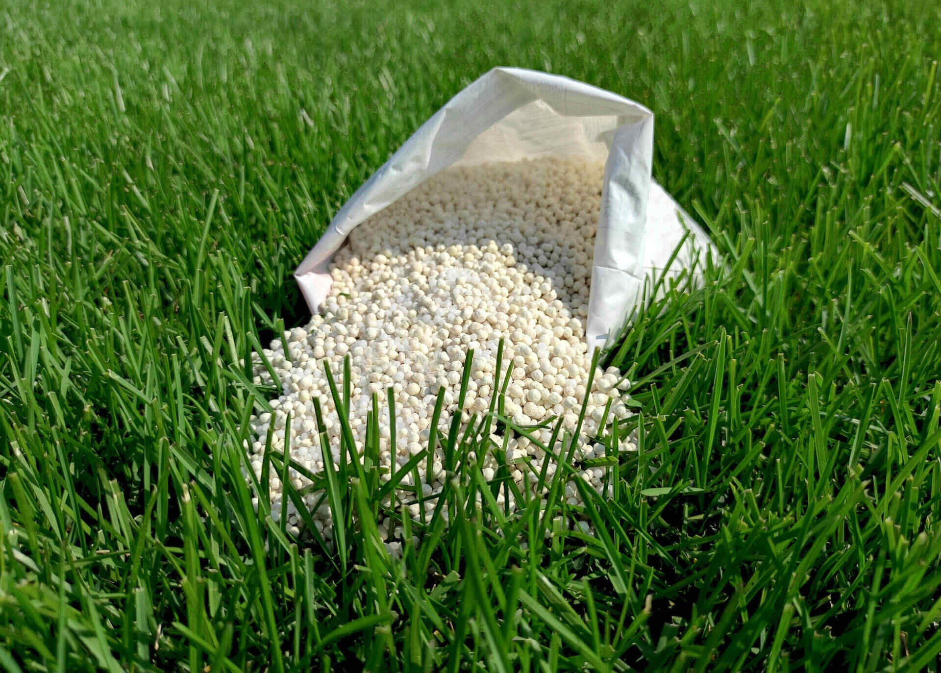 What Does Gypsum Do For Lawns
