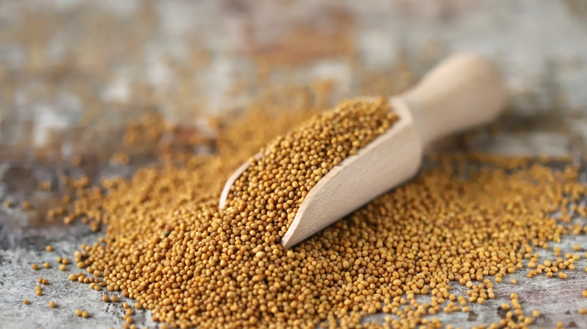 What Does Mustard Seed Look Like