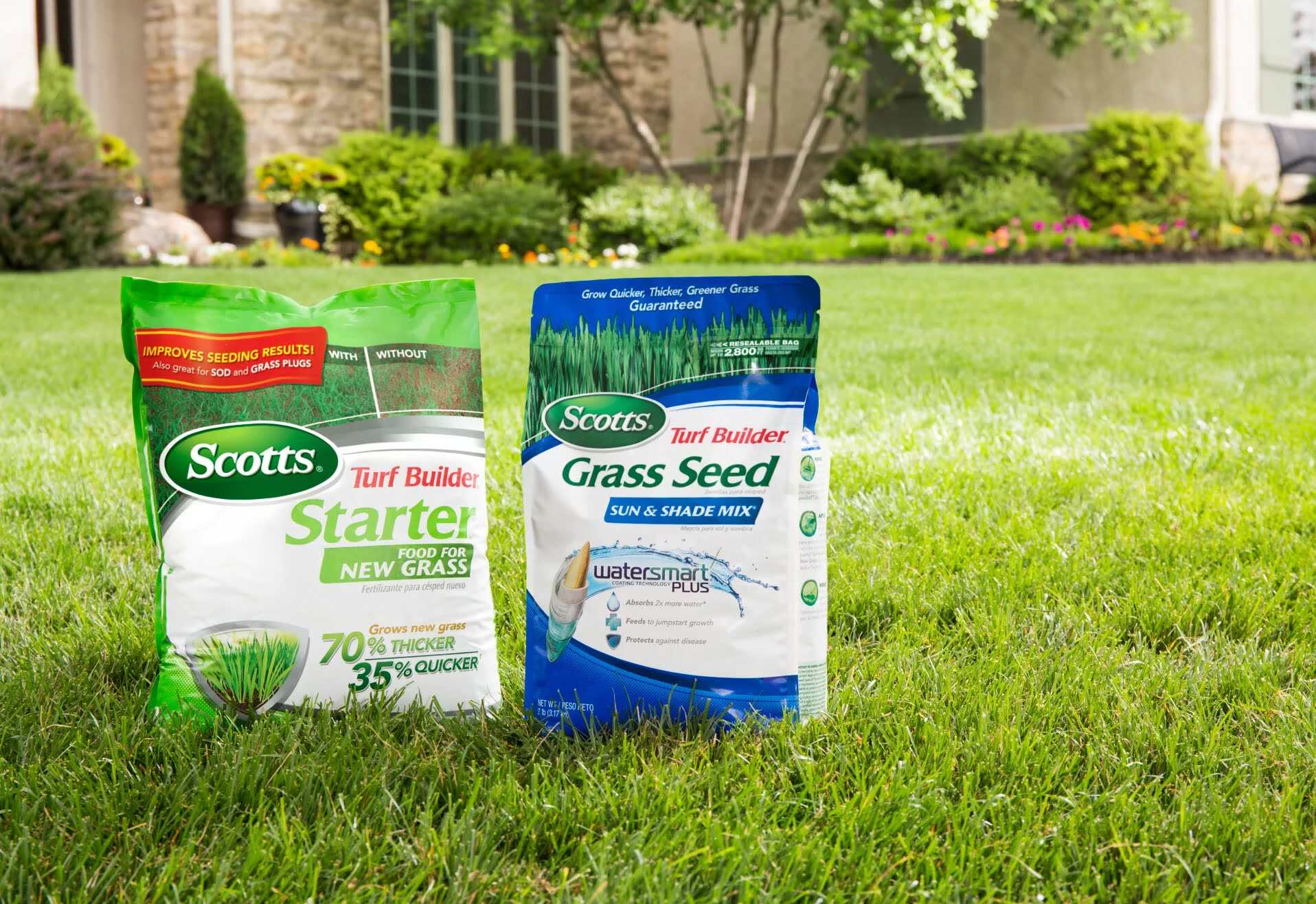 What Grass Seed Is Best For Full Sun