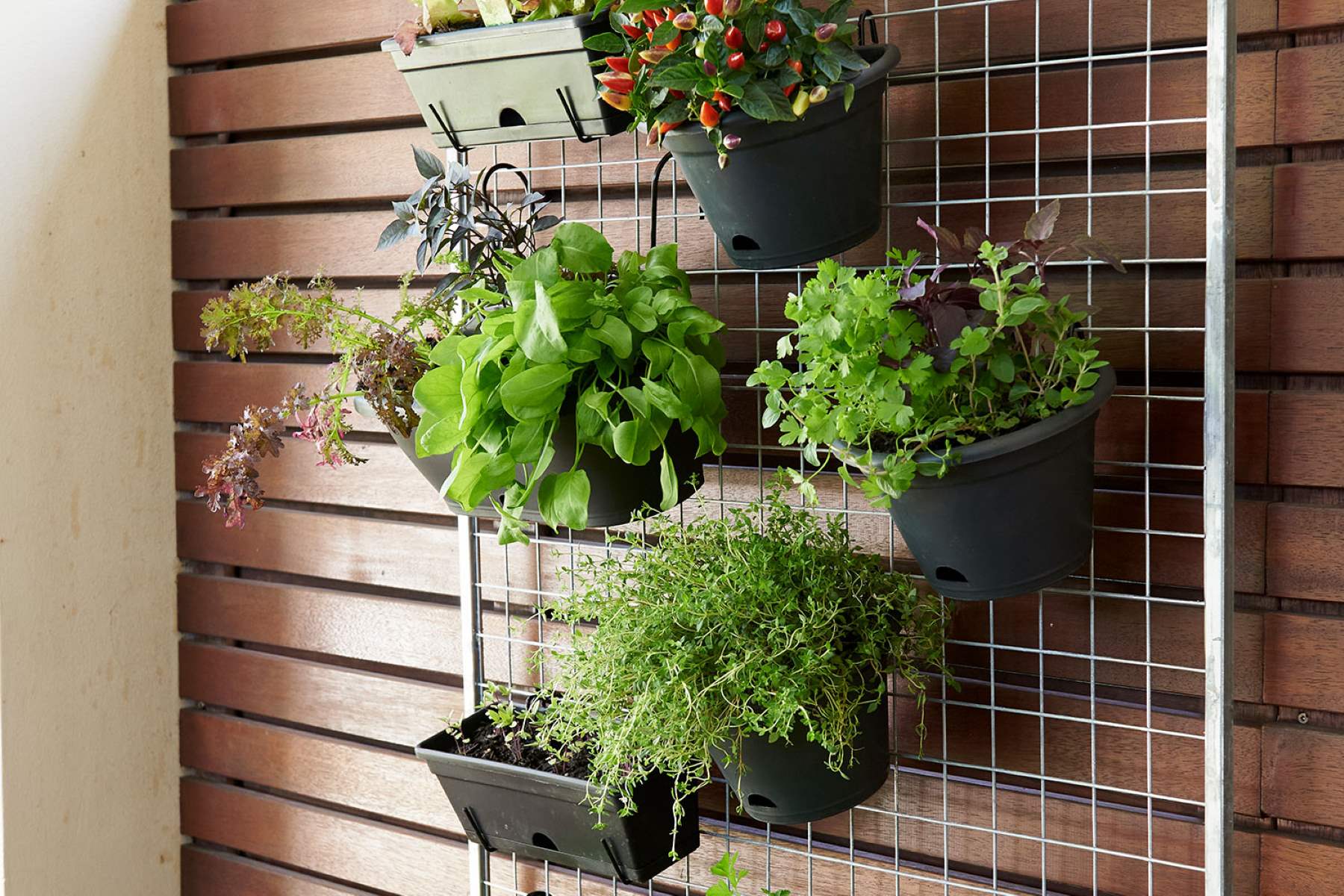 What Herbs To Grow In A Vertical Garden