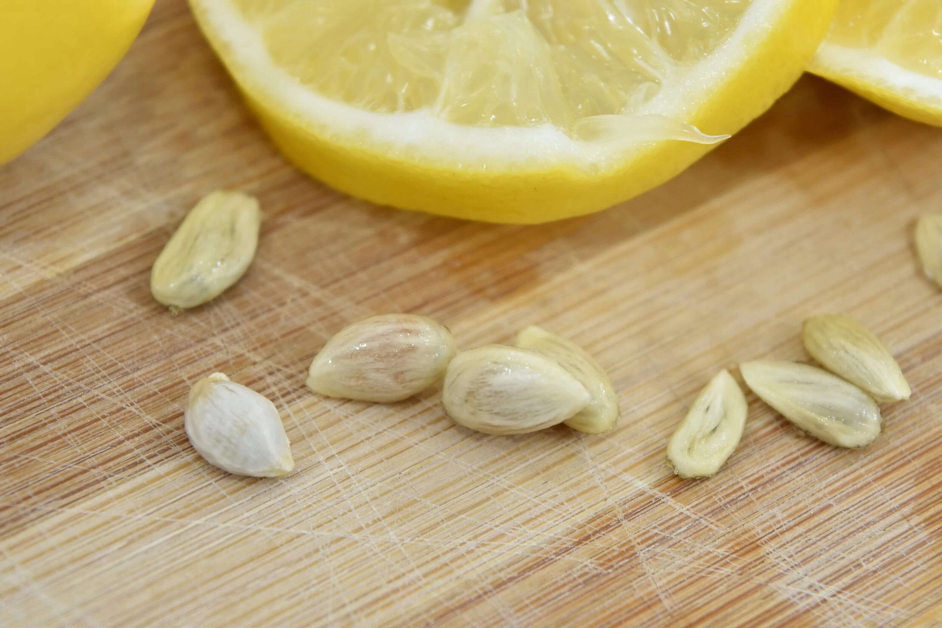 What If I Swallow A Lemon Seed