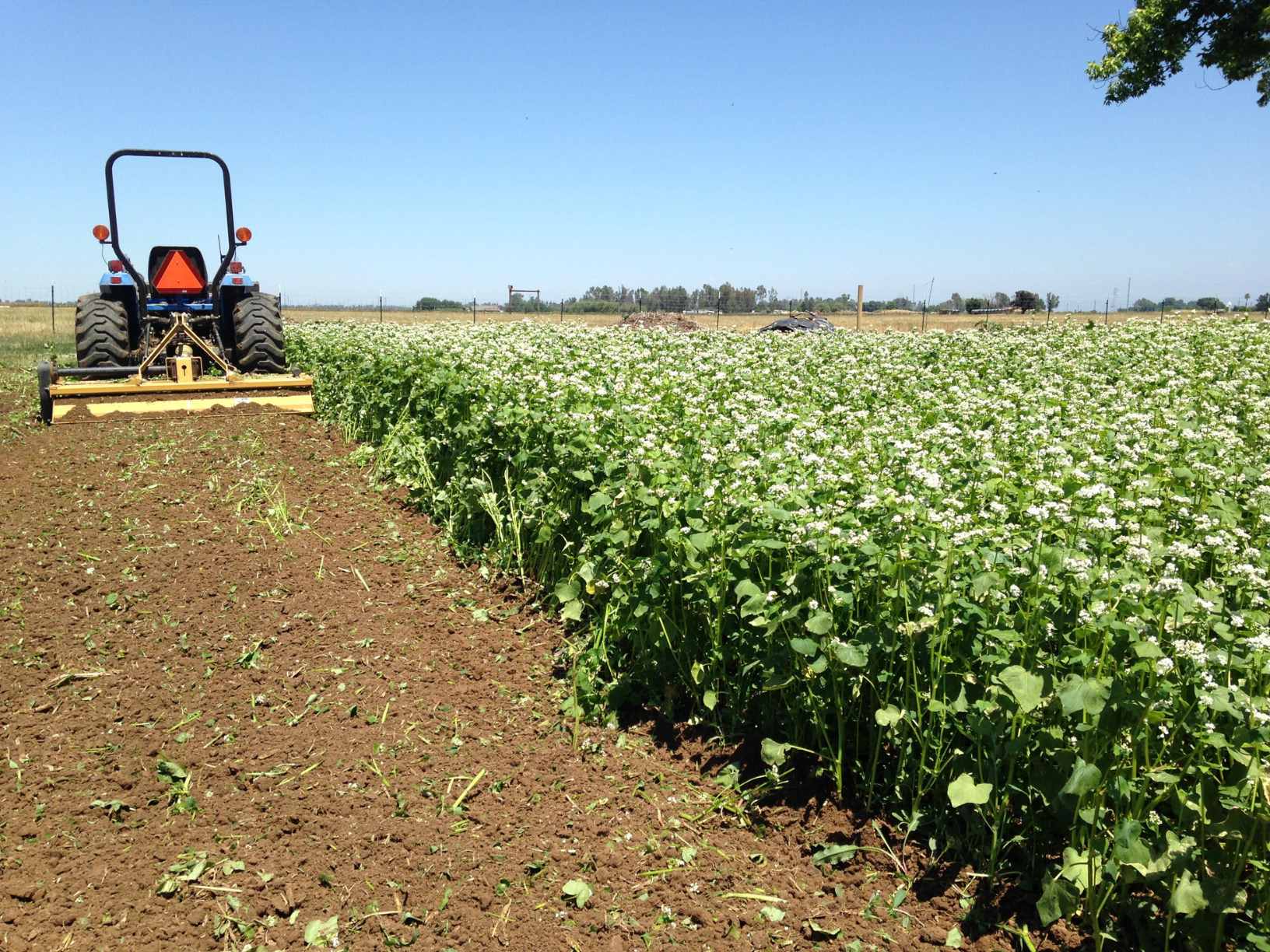 What Impact Did Crop Rotation Have On Agriculture