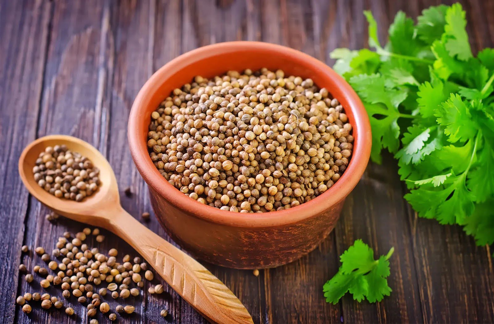 What Is A Coriander Seed