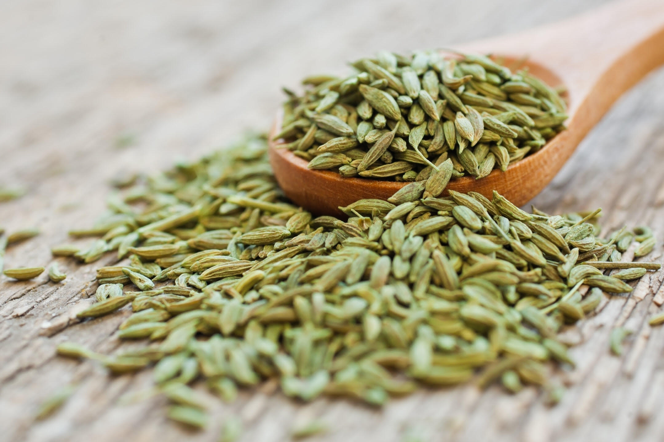What Is A Fennel Seed