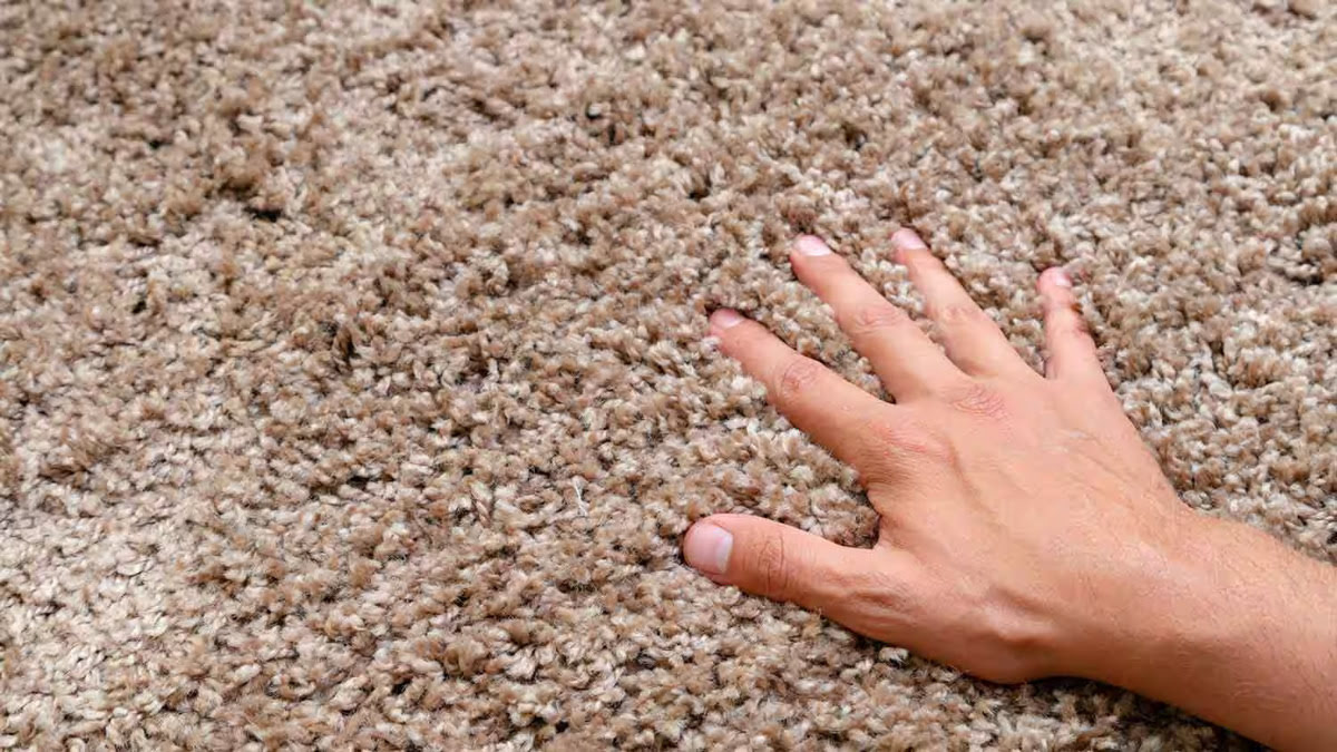 What Is A Pile Carpet