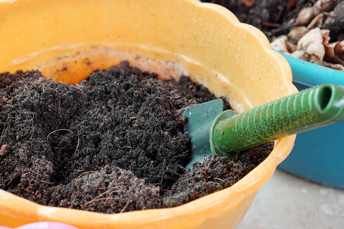 What Is A Potting Soil Mix