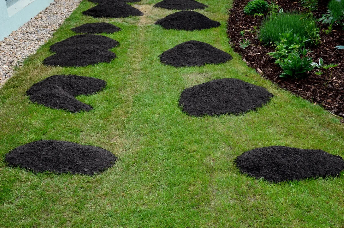 What Is Best For Top Dressing Lawns
