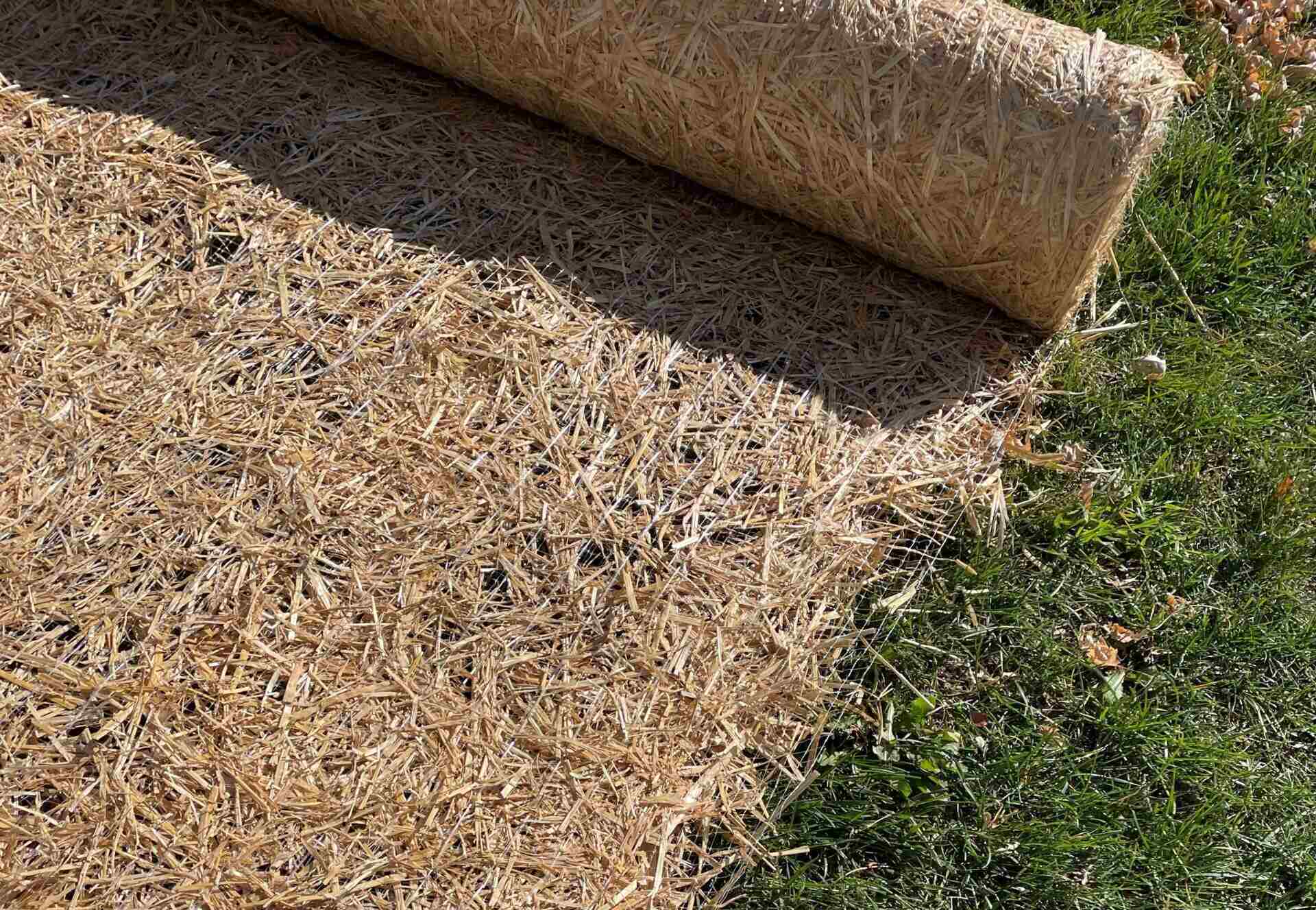 What Is Best To Cover New Grass Seed