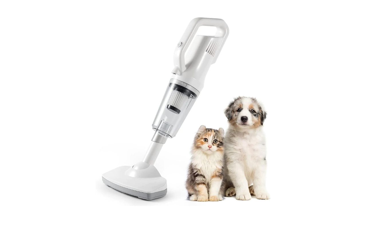 What Is Best Vacuum Cleaner For Pet Hair