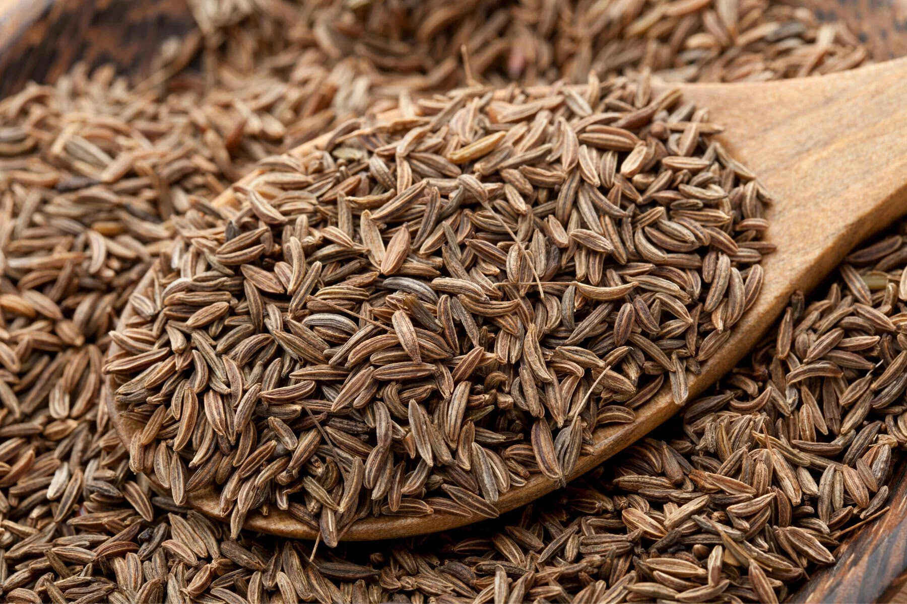 What Is Caraway Seed In Hindi