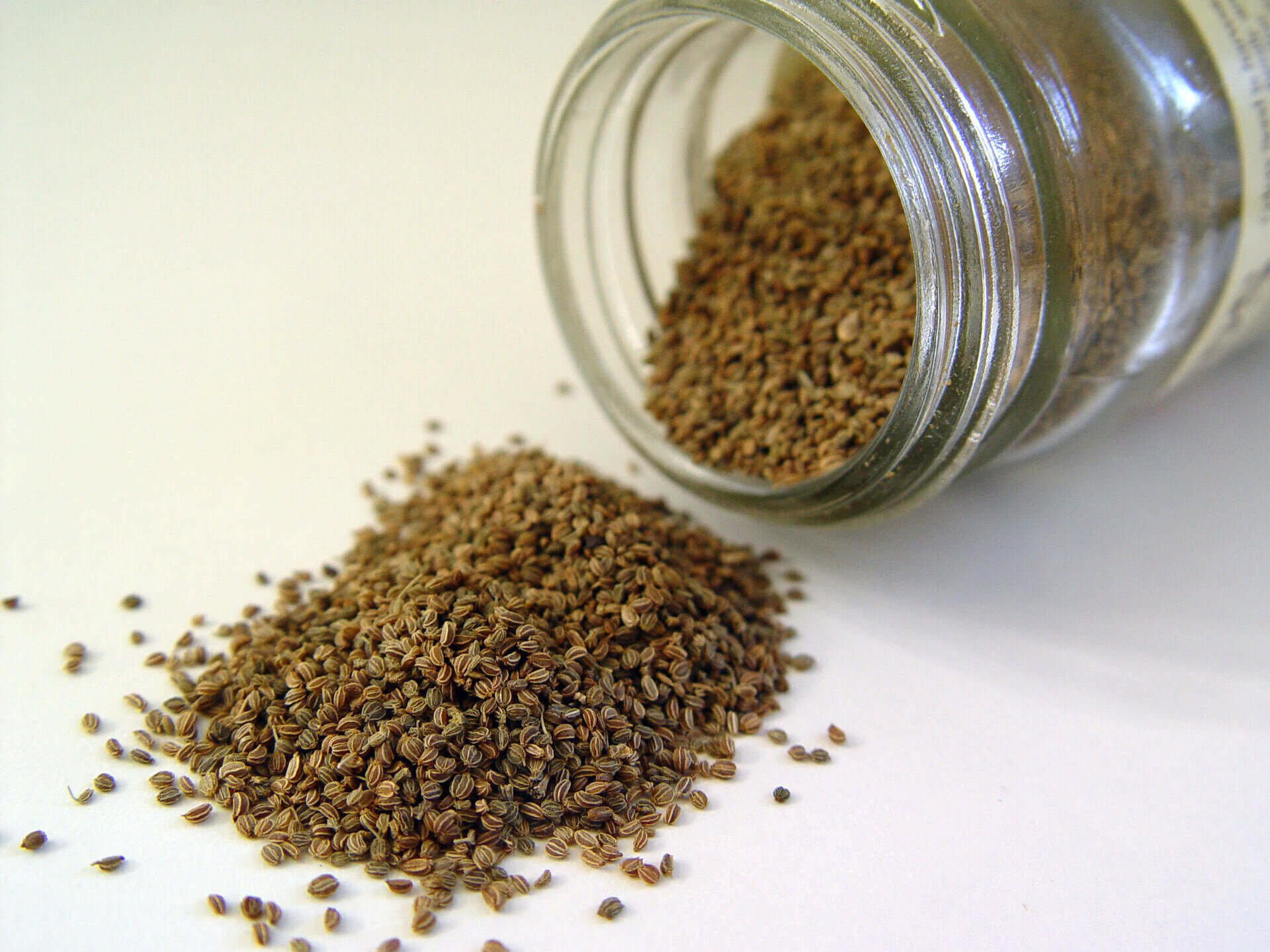 What Is Celery Seed Extract Good For
