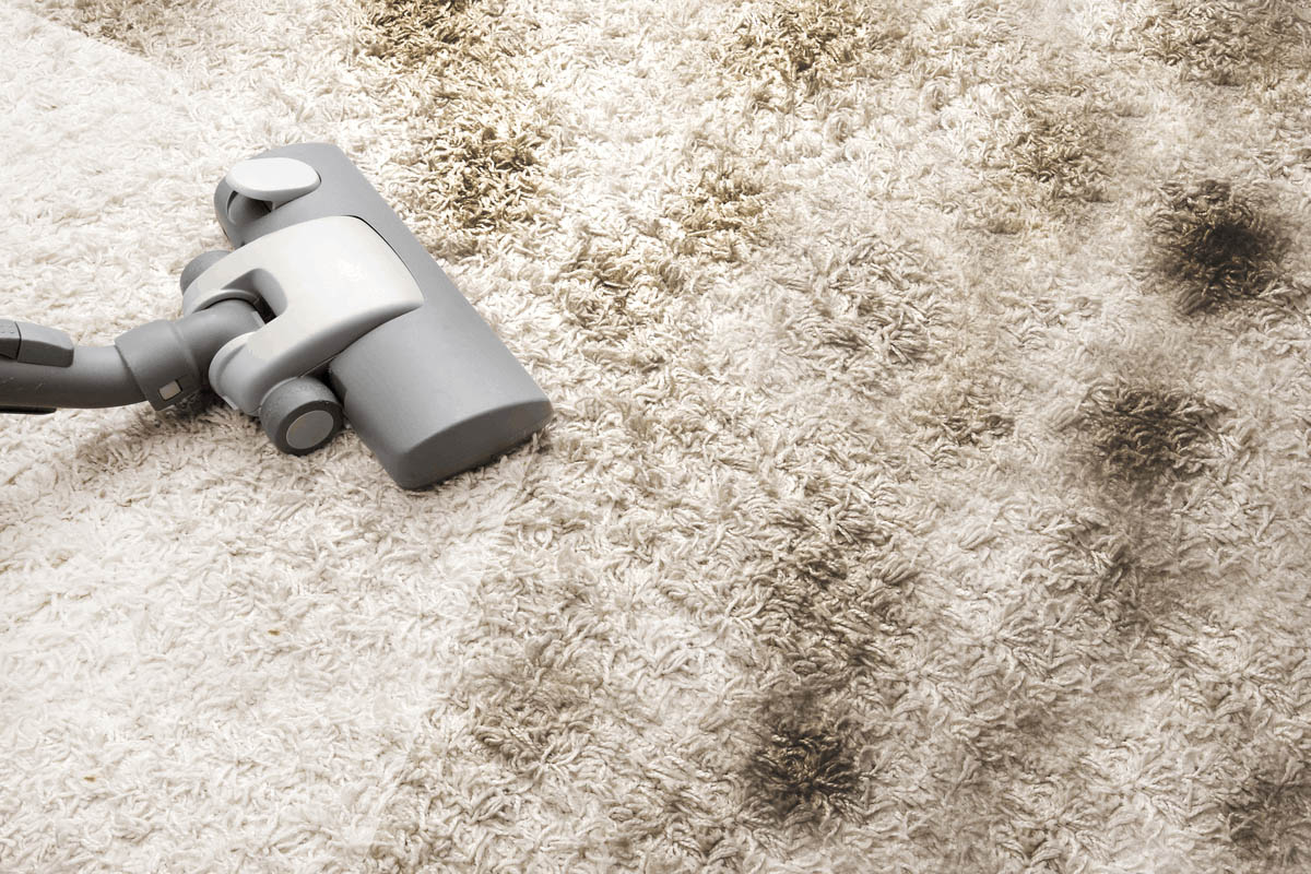 What Is Considered Normal Wear And Tear On Carpet