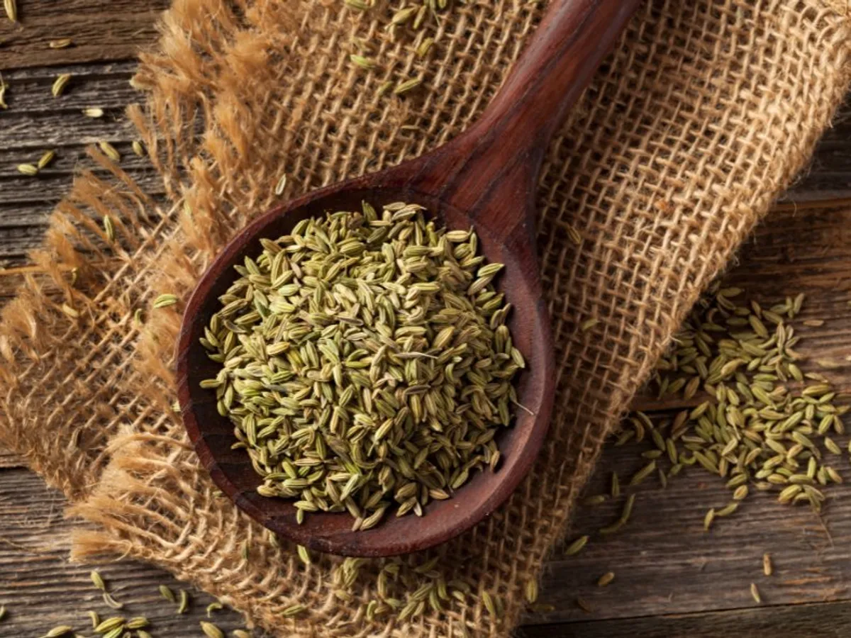 What Is Fennel Seeds Good For