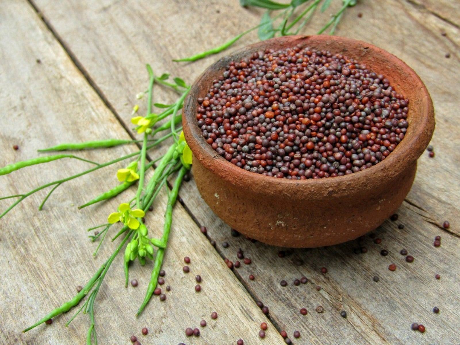 What Is Mustard Seeds Used For
