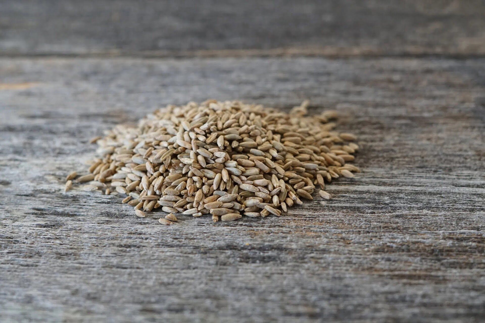 What Is Rye Seed