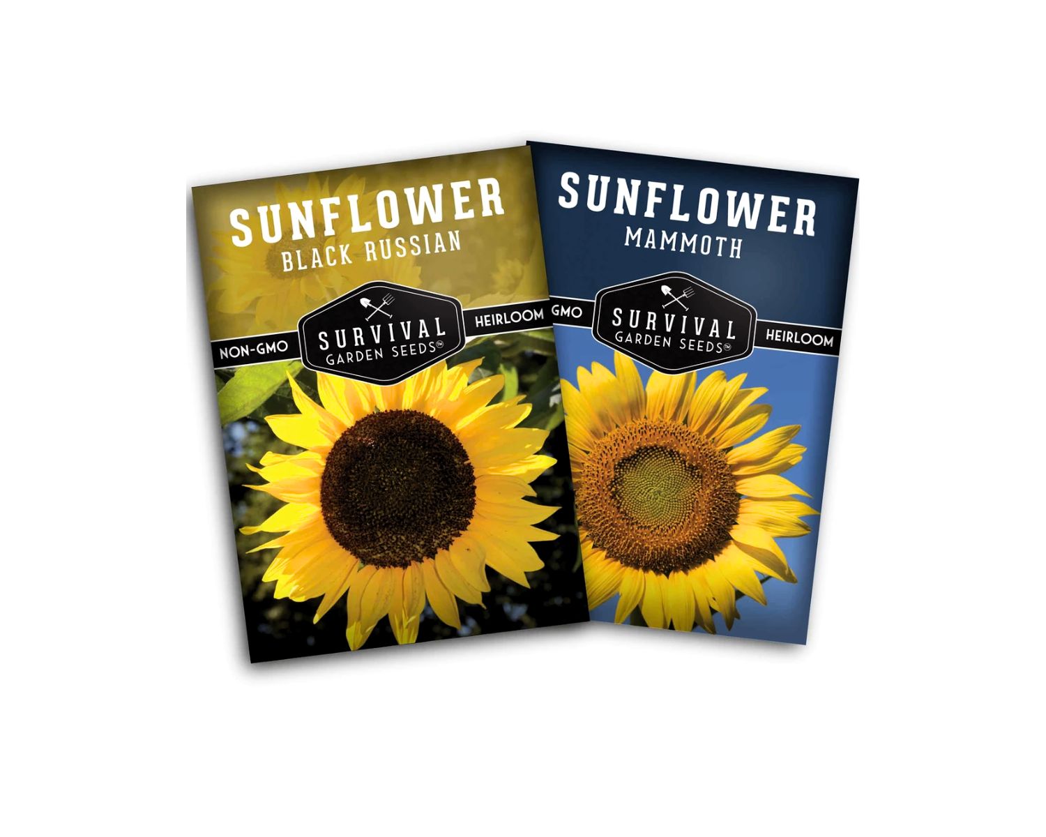 What Is The Average Size Seed Packet For Sunflower Seed