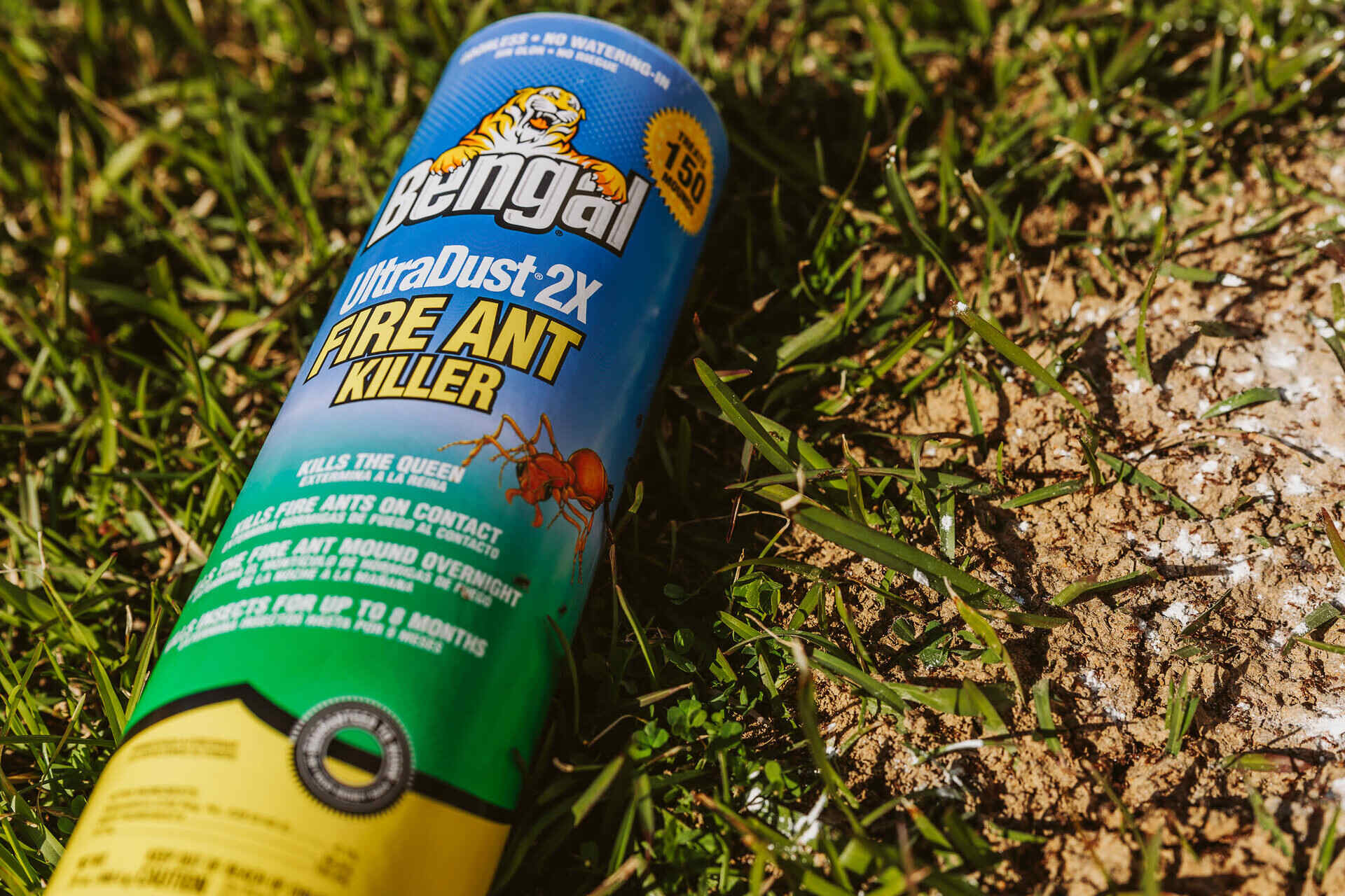 What Is The Best Ant Killer For Lawns