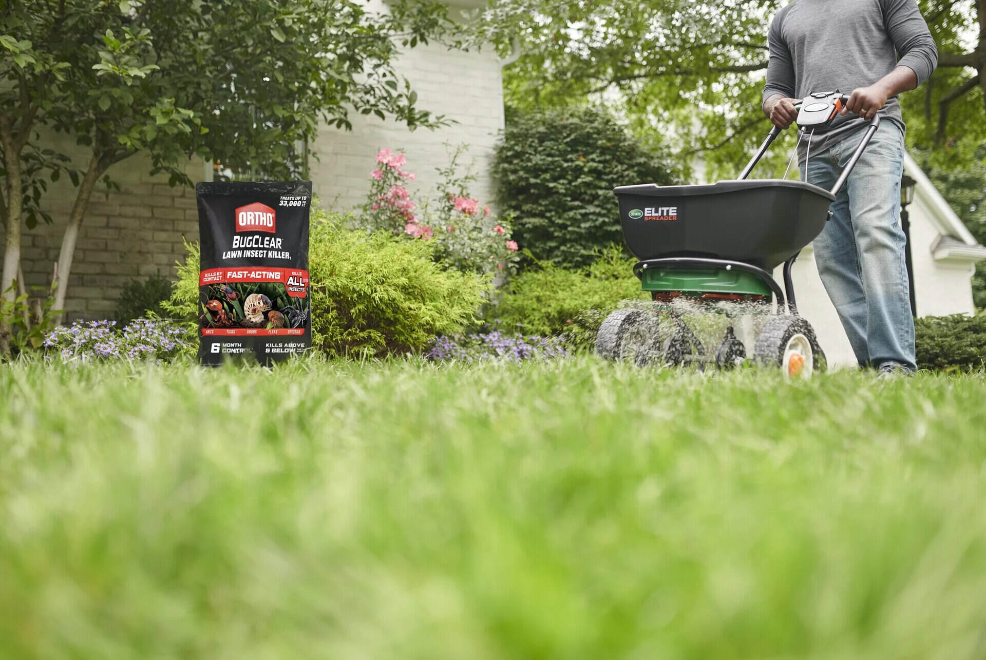 What Is The Best Bug Killer For Lawns