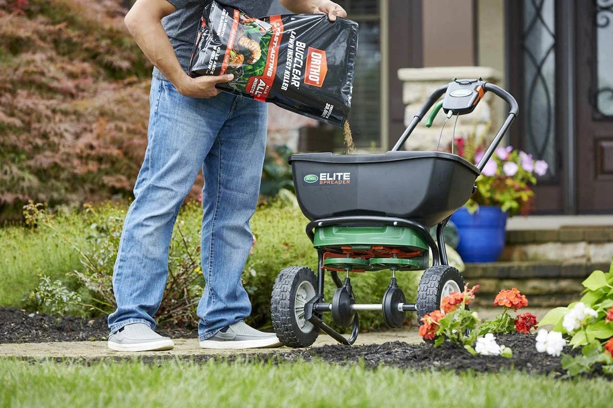 What Is The Best Grub Control For Lawns