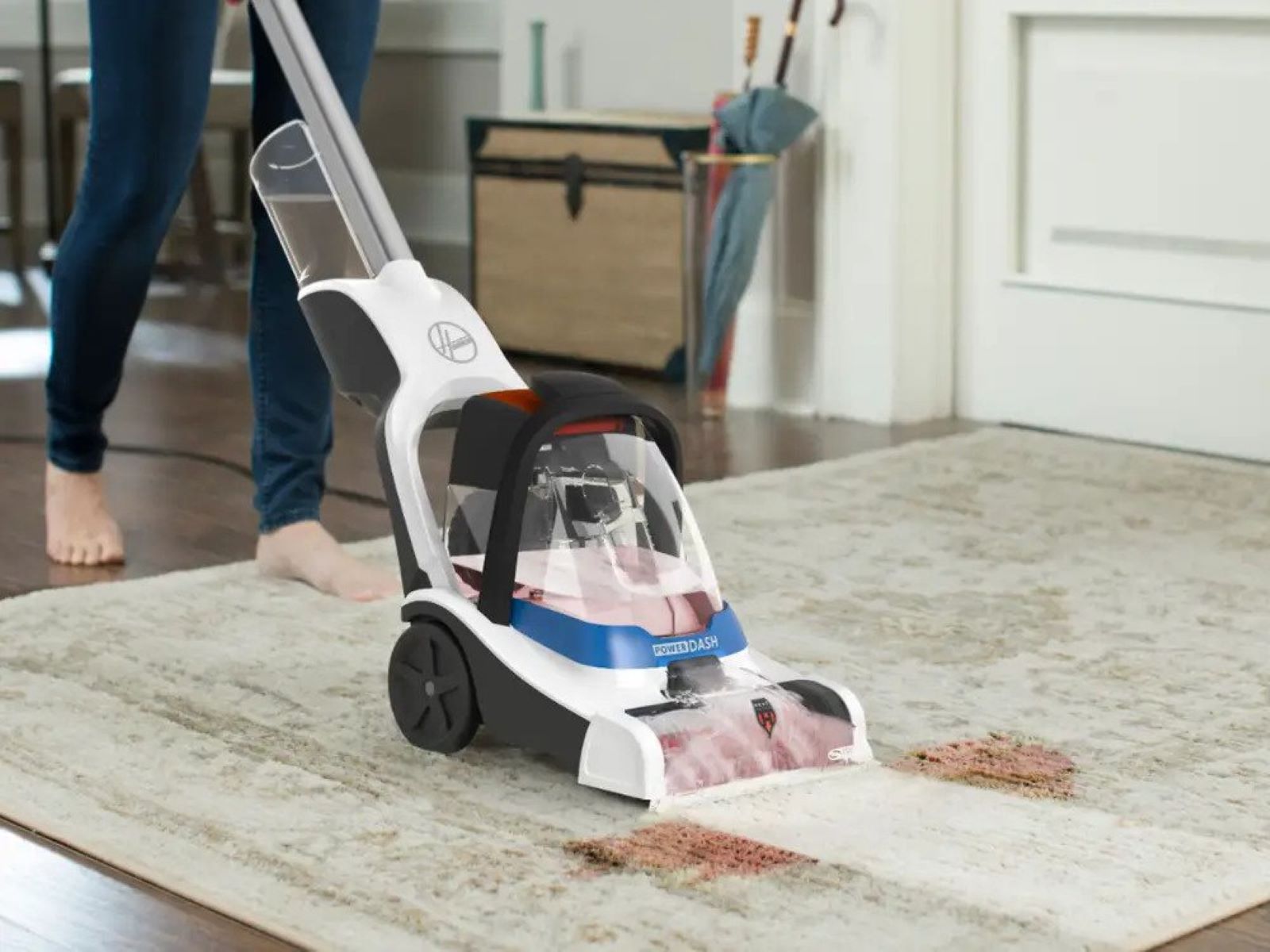 What Is The Best Pet Carpet Cleaner