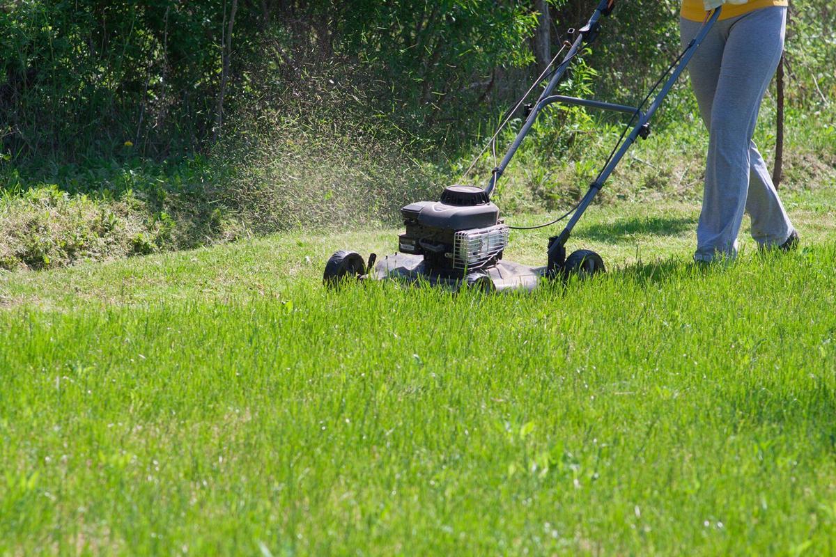 What Is The Best Time To Start Lawn Care