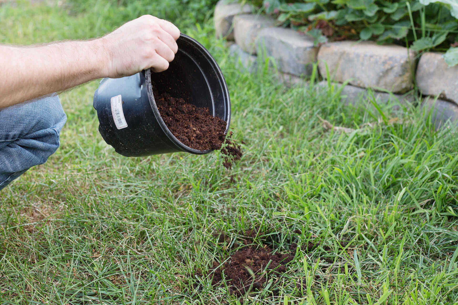 What Is The Best Topsoil For Lawns