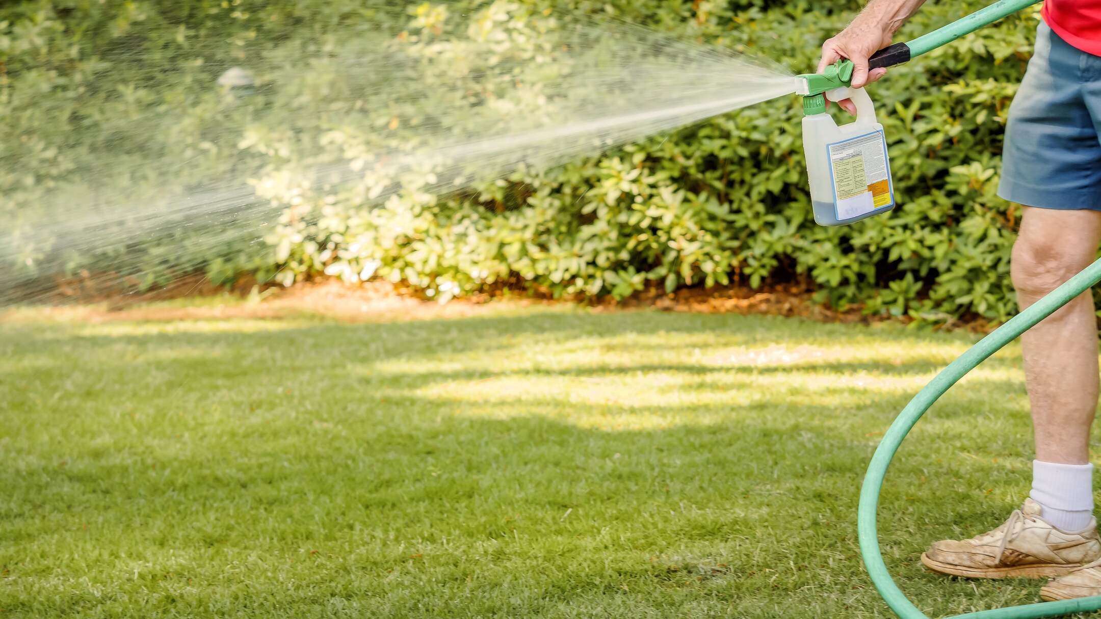 What Is The Best Weed Killer For Lawns