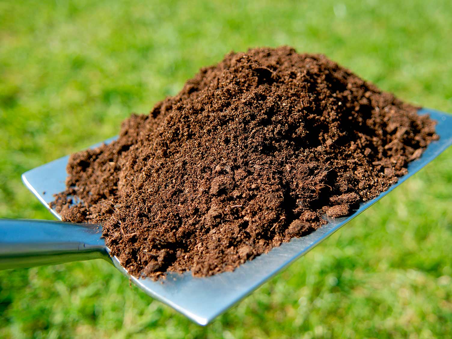 What Is The Proper Soil Mix For Grass