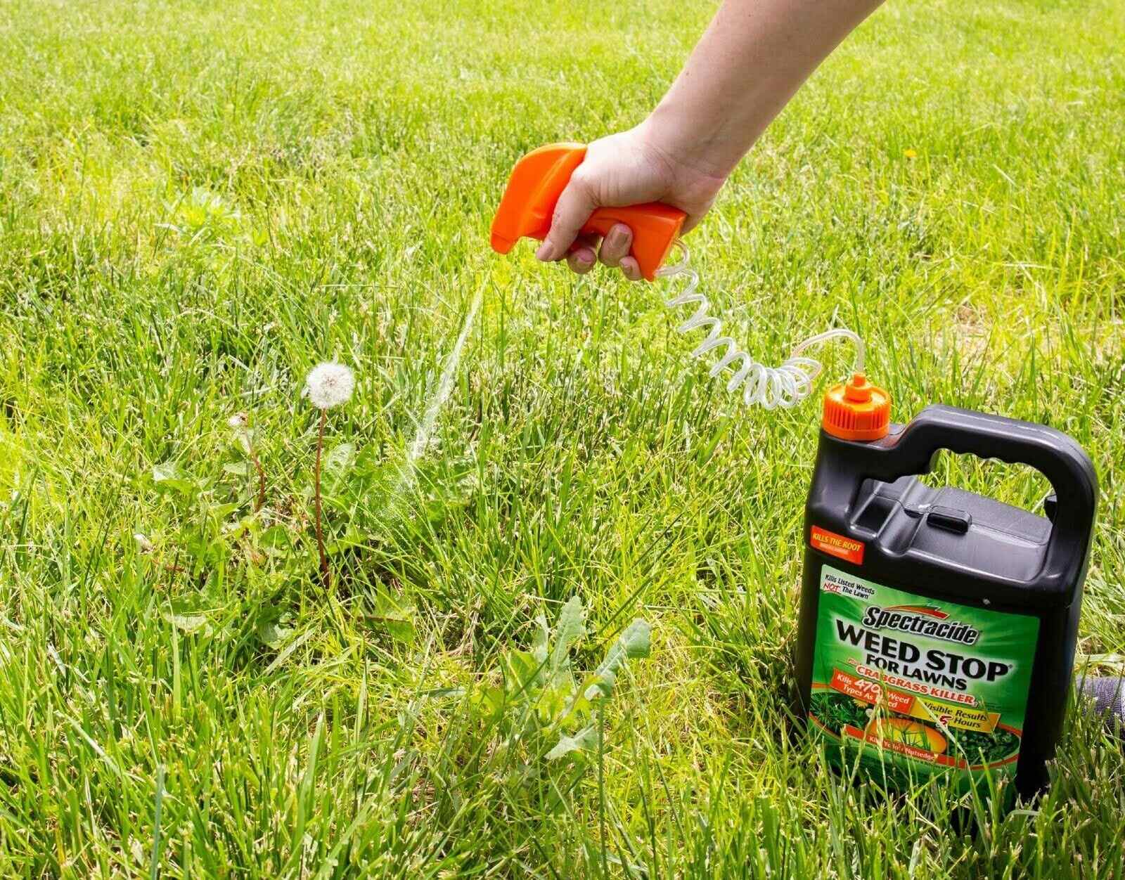 What Kills Crabgrass In Lawns | Storables