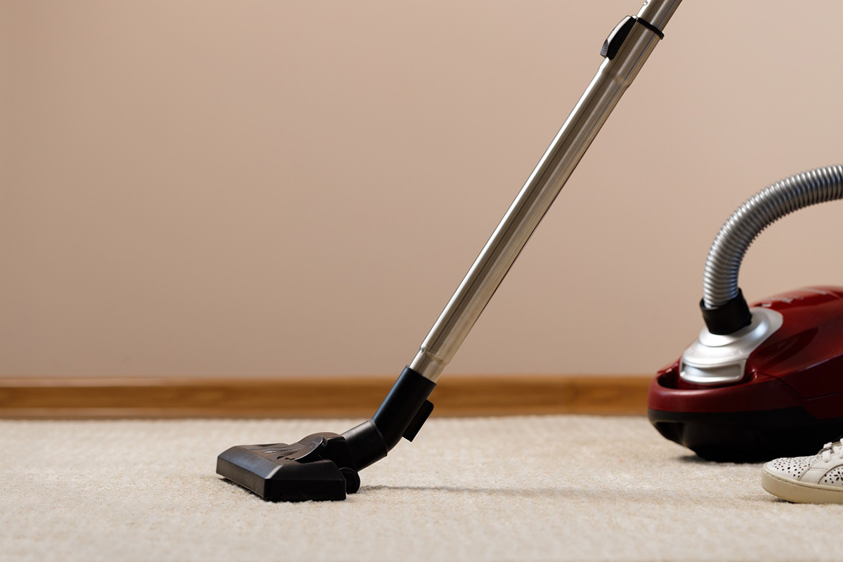 What Kills Dust Mites In A Carpet