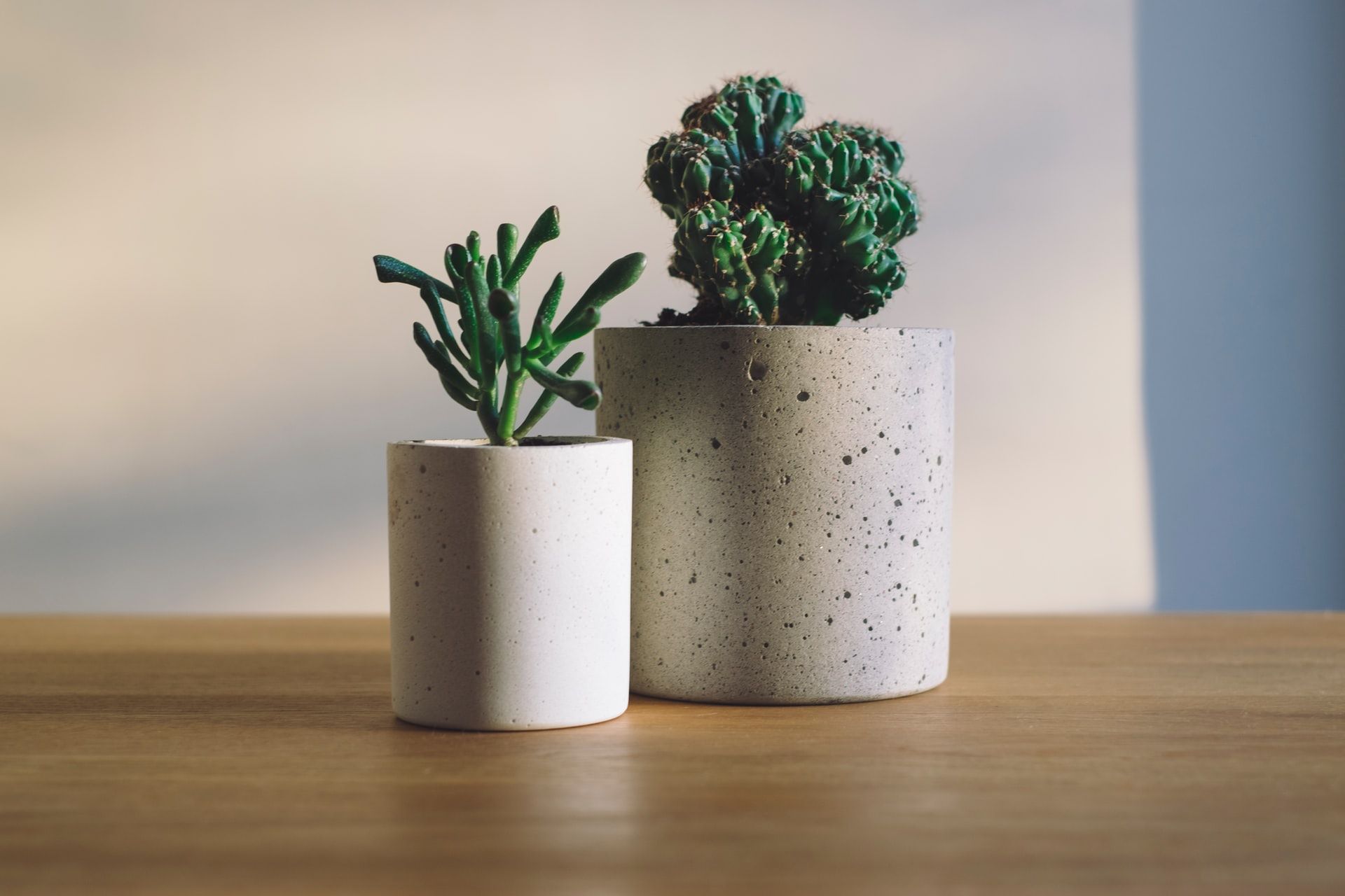 What Kind Of Concrete To Use In DIY Projects