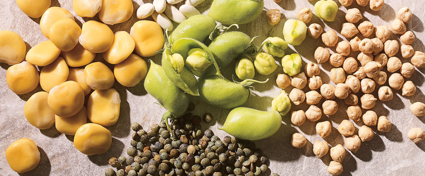 What Legume Actually Buries Its Seeds?