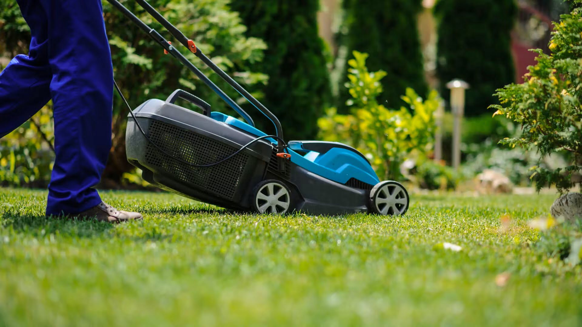 What Mown Lawns Do
