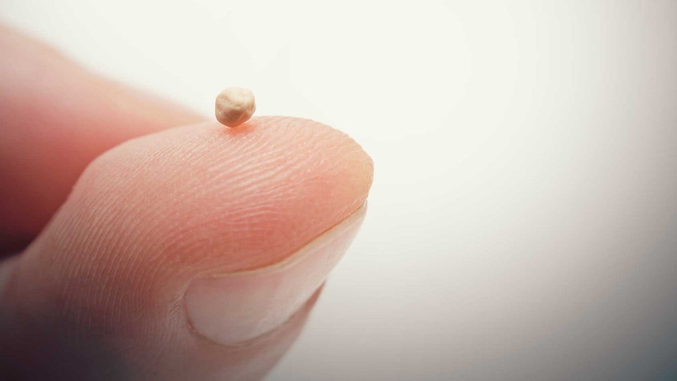 What Size Is A Mustard Seed