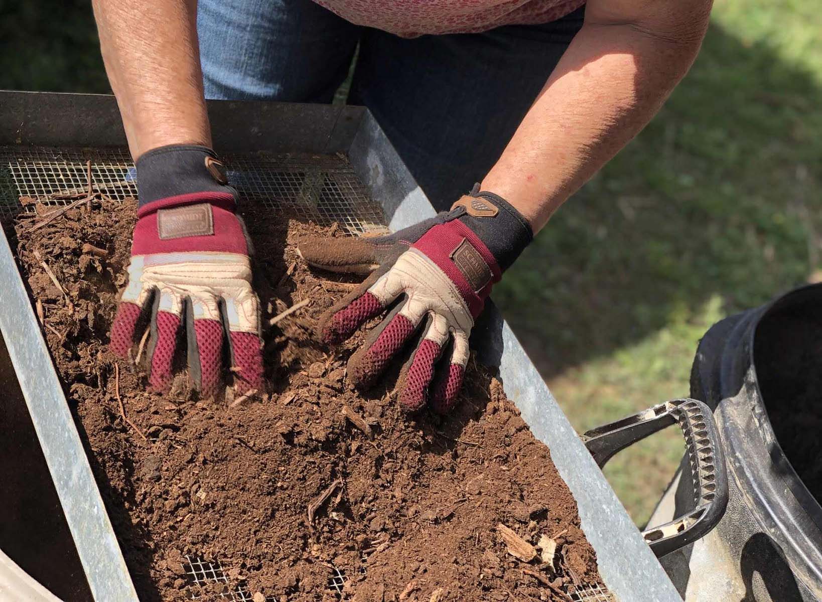 What Soil Mix To Use For Planting Evergreens In Colorado