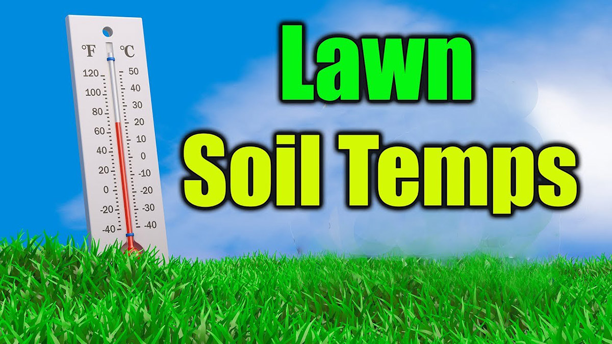 What Soil Temperature Do Weeds Germinate