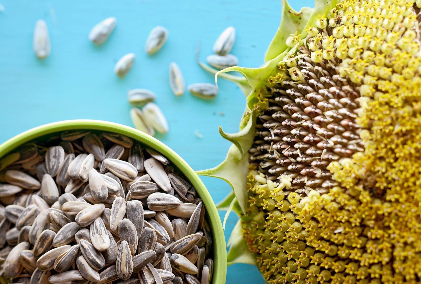 What Sunflower Seeds Are Edible