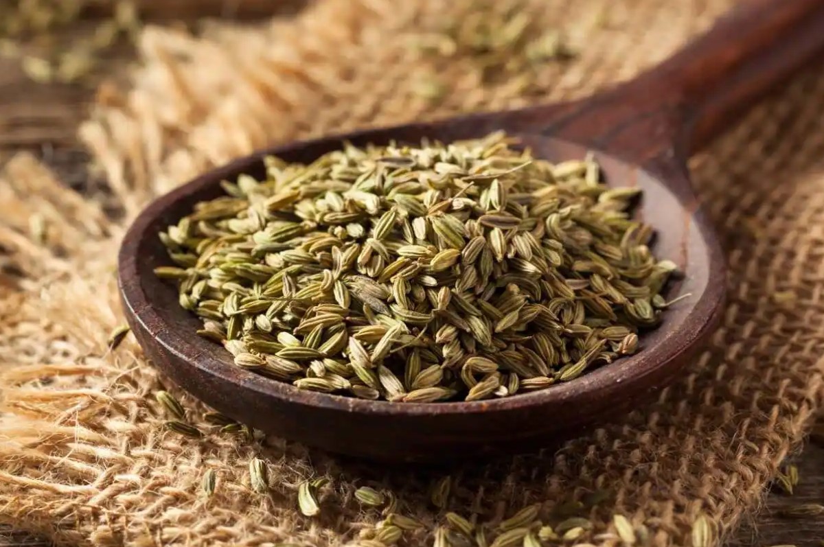 Fennel Seeds Histamine At Numbers Mcleod Blog