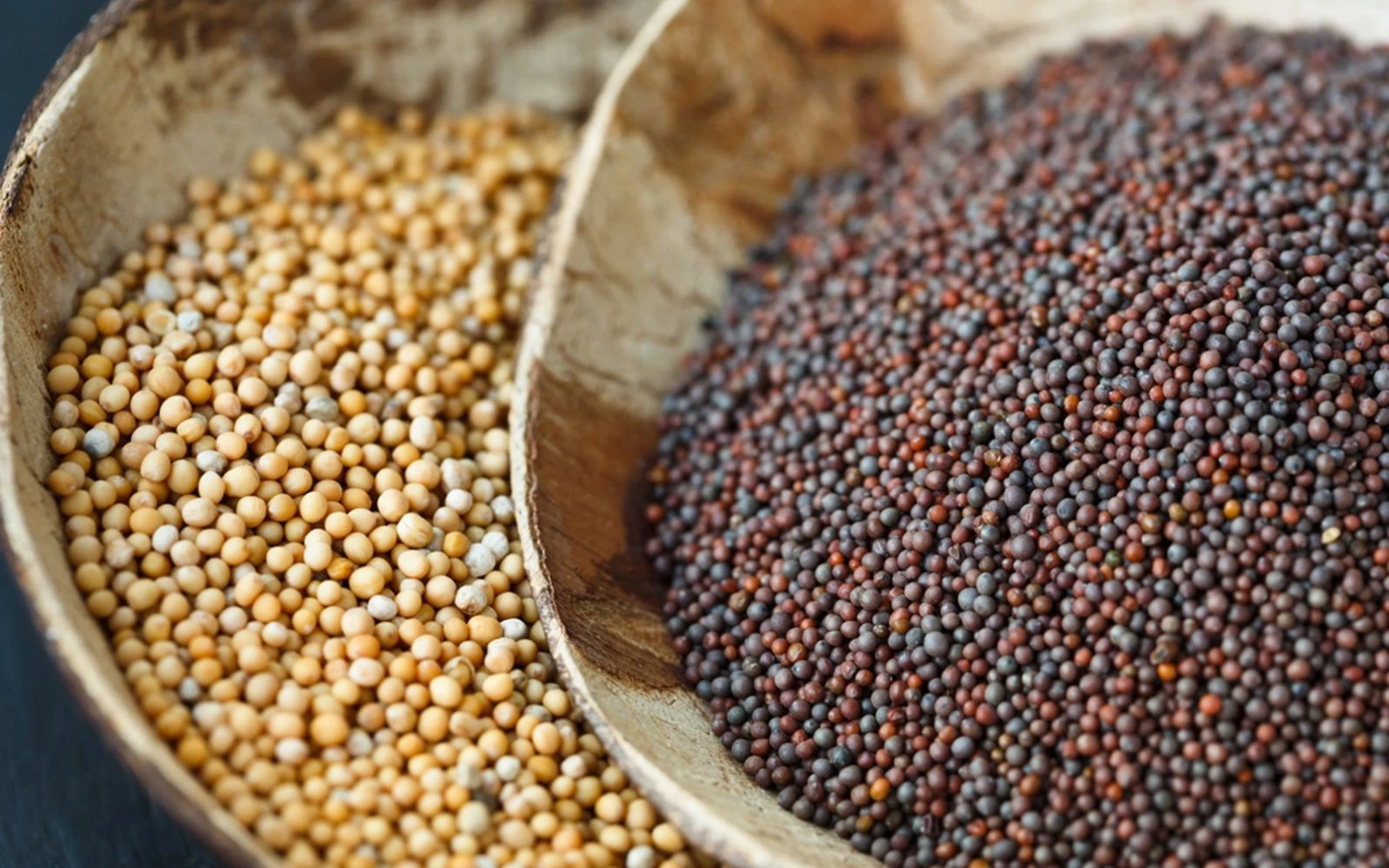 What To Do With Mustard Seeds