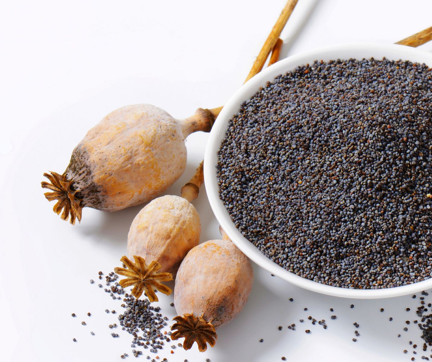 What To Do With Poppy Seeds