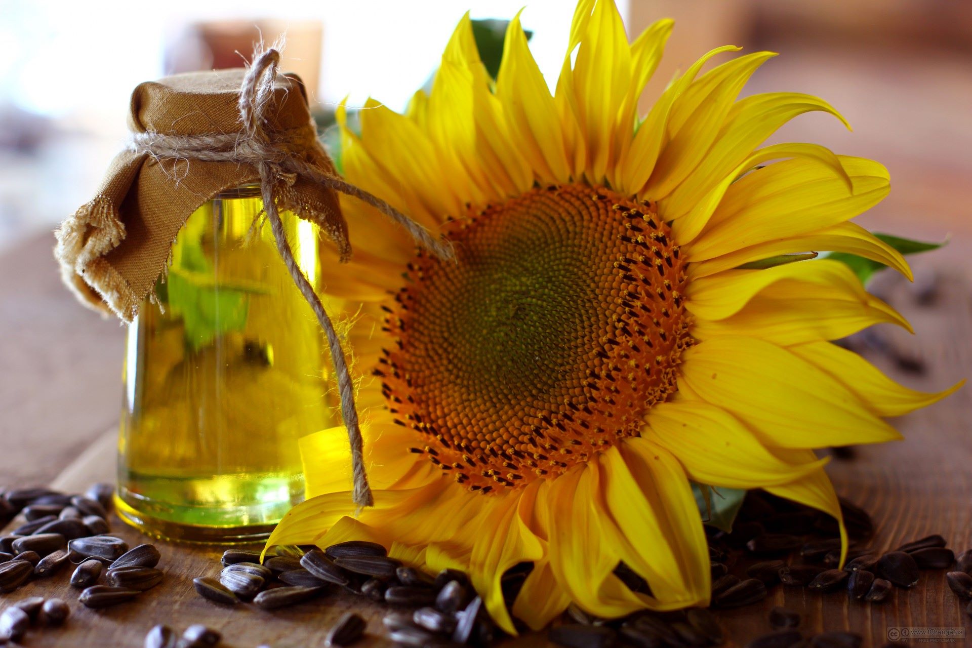 What To Make With Sunflower Seeds