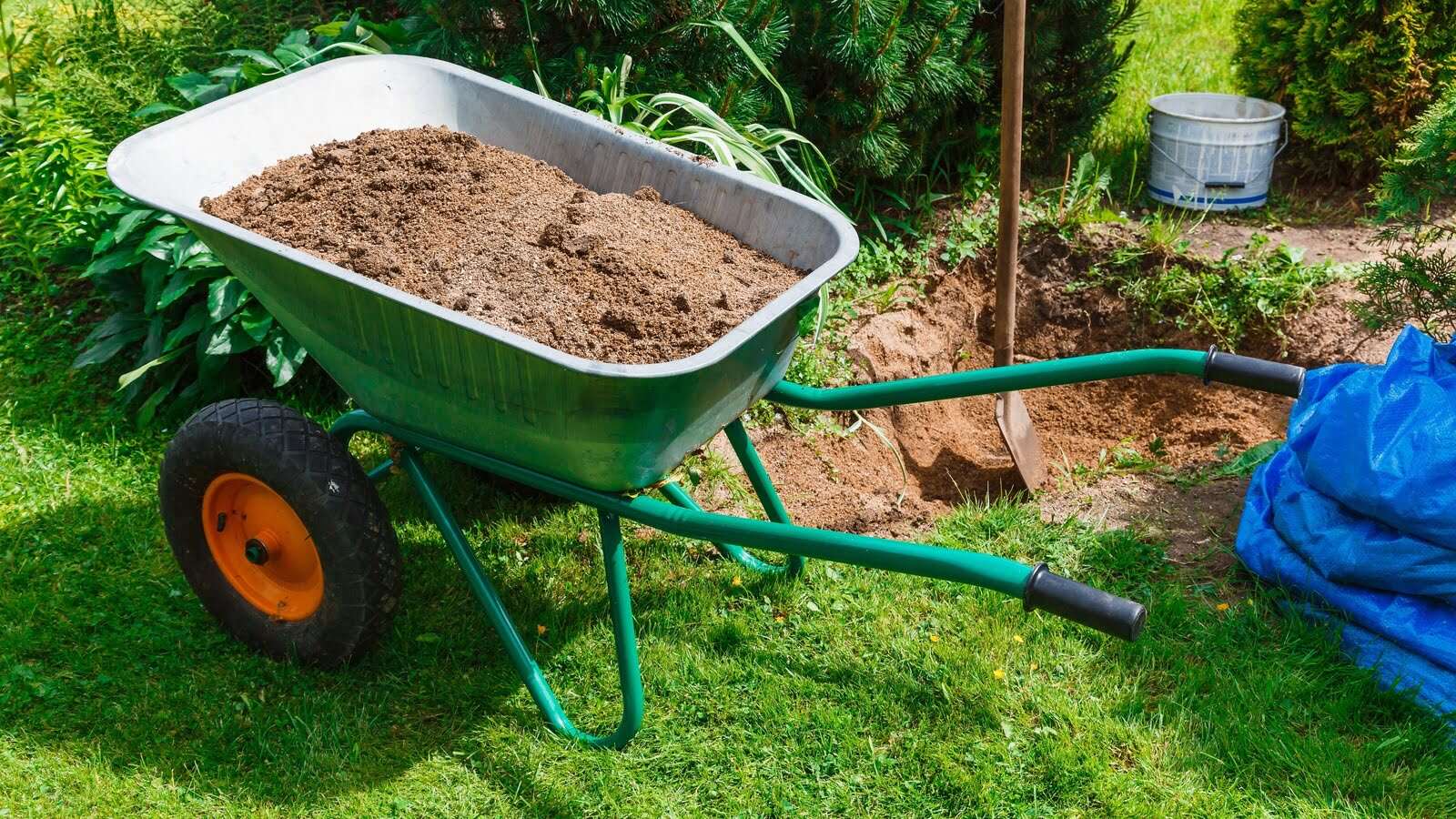 What Type Of Sand For Lawns