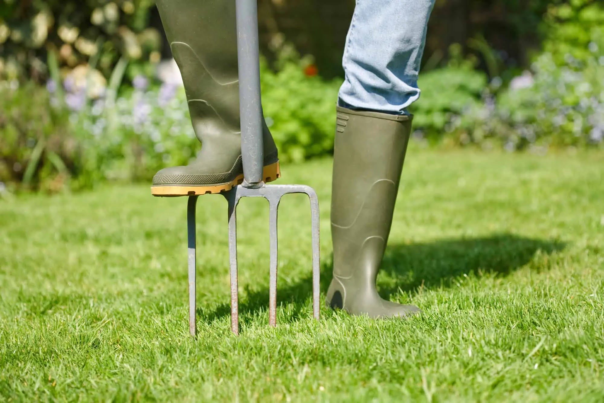 When Should Lawns Be Aerated