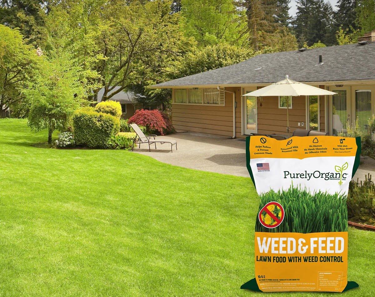 When Should Weed And Feed Be Applied To Lawns