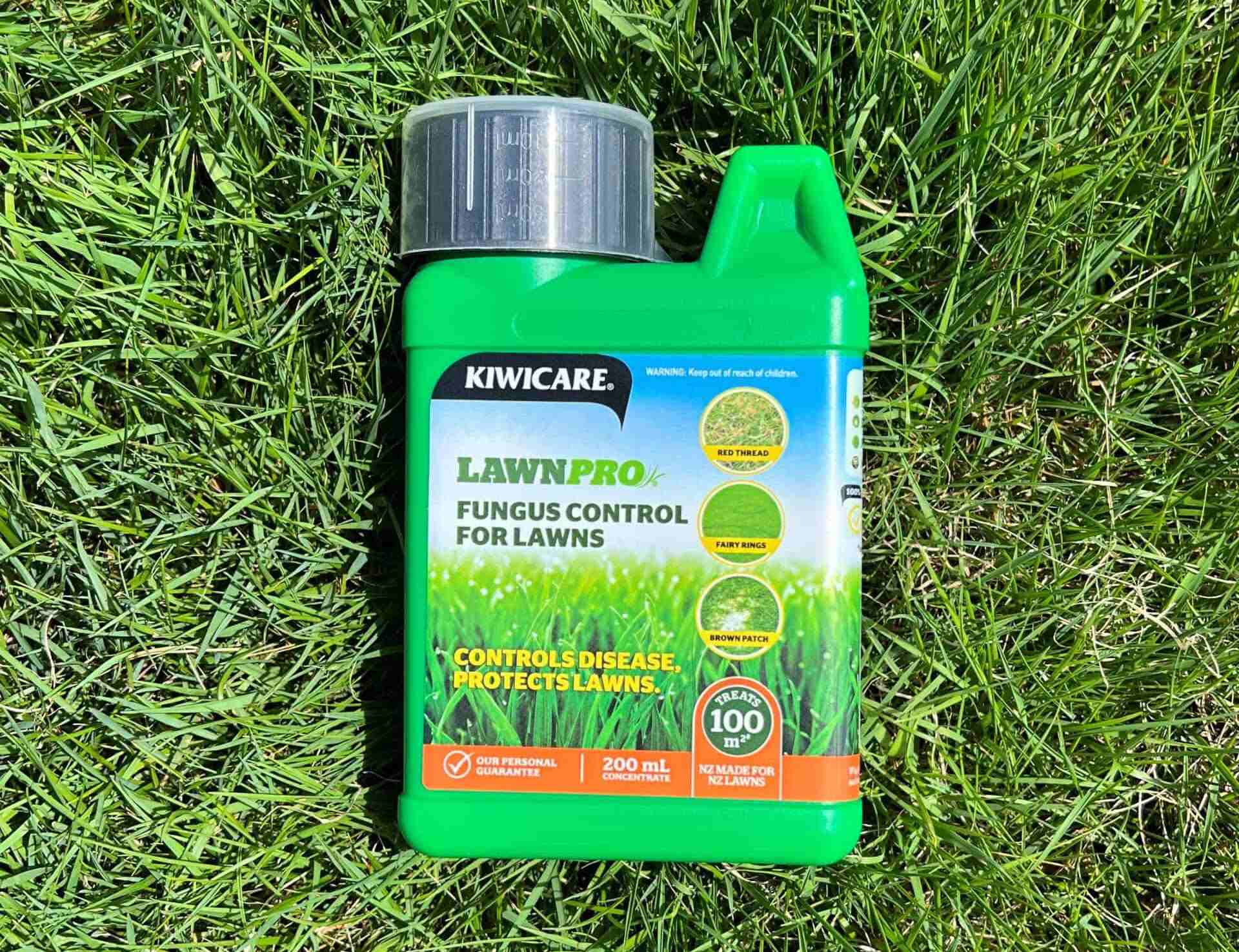 When To Apply Fungus Control For Lawns