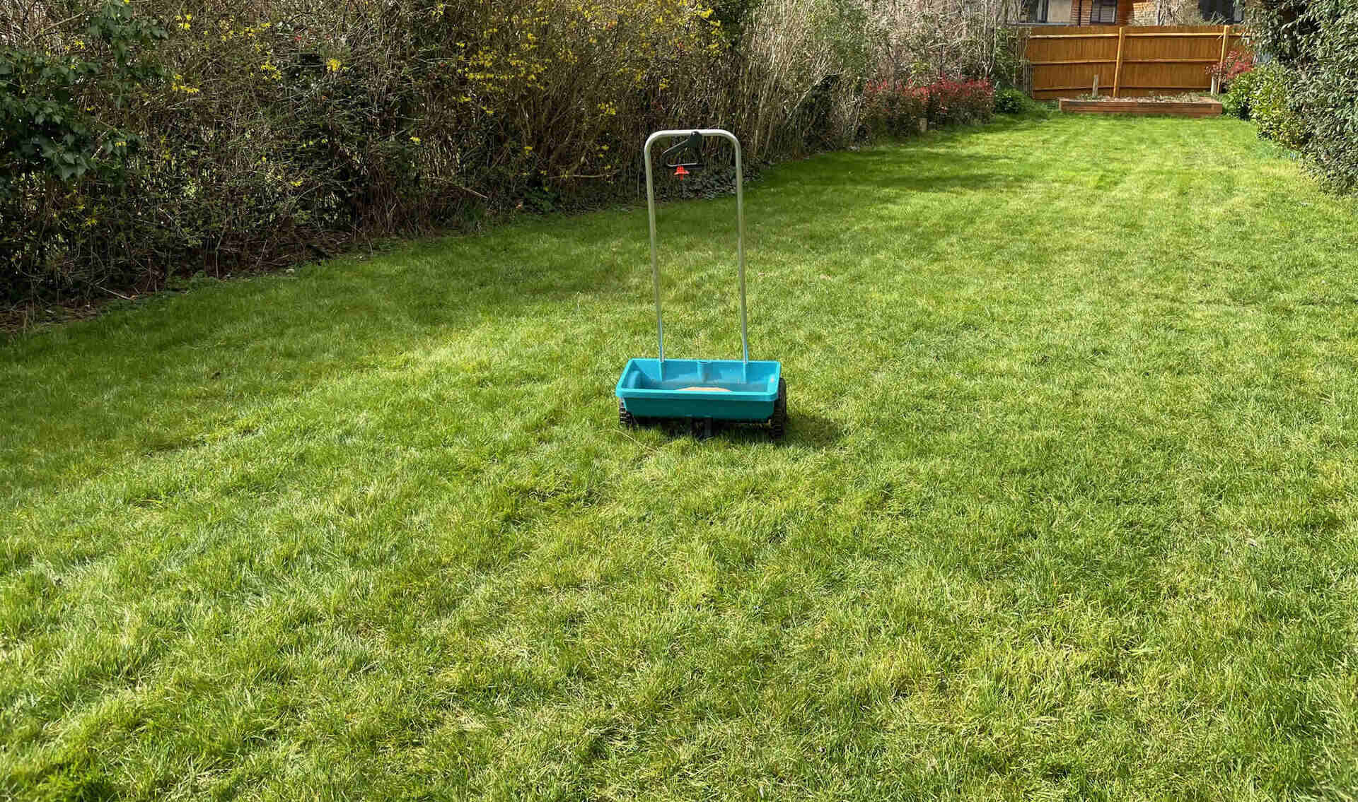 When To Overseed Lawns