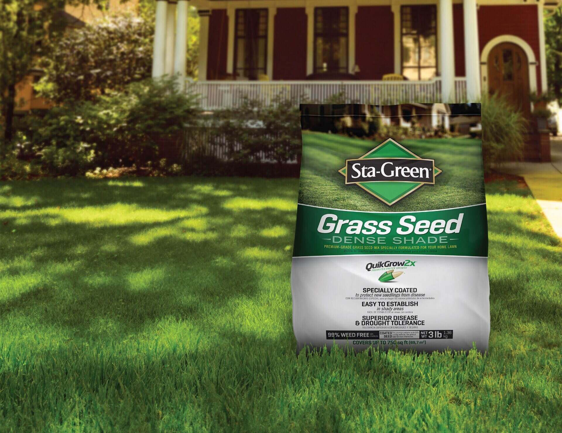When To Plant Bermuda Grass Seed In Oklahoma