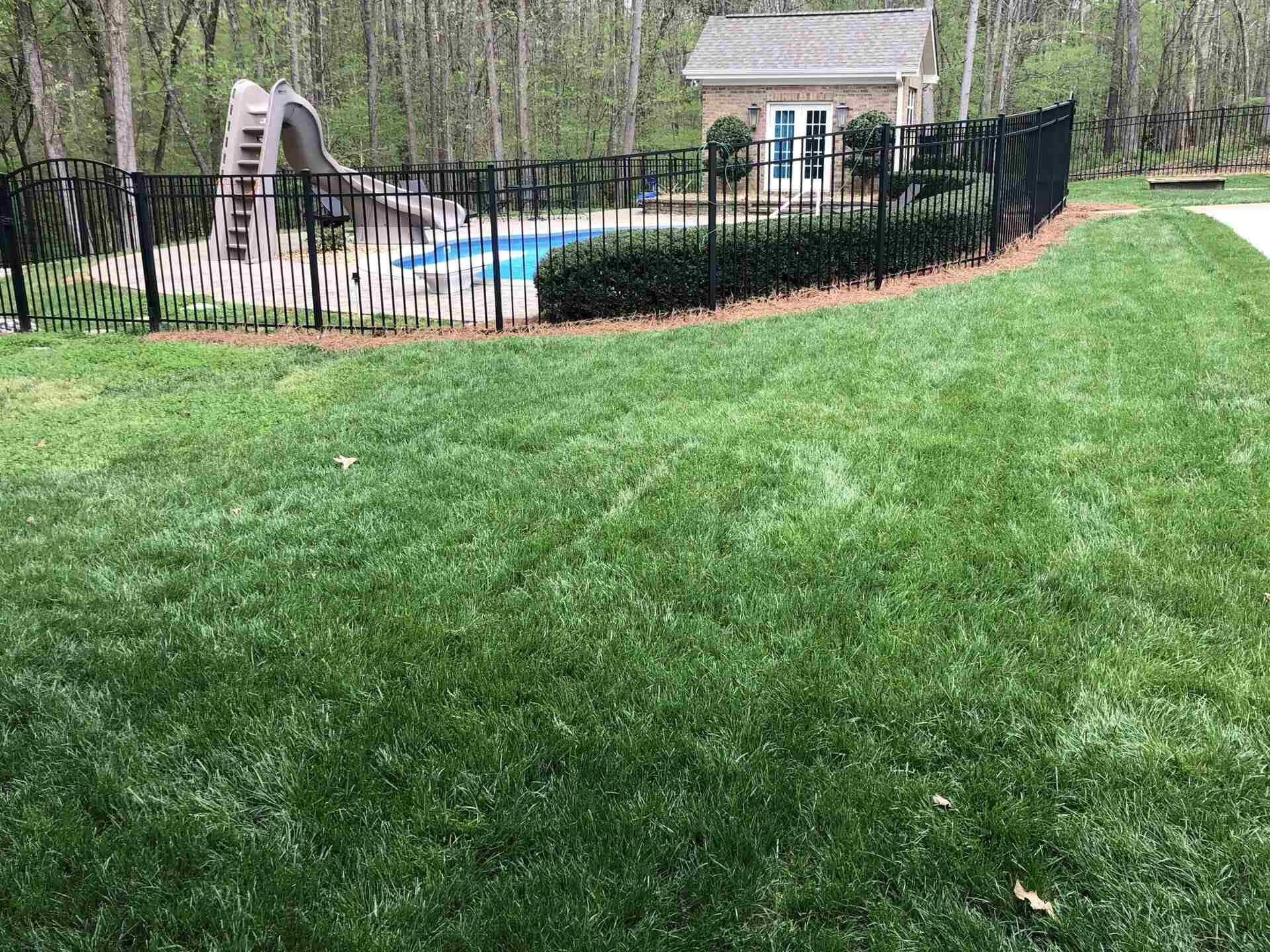 When To Plant Grass Seed In South Carolina