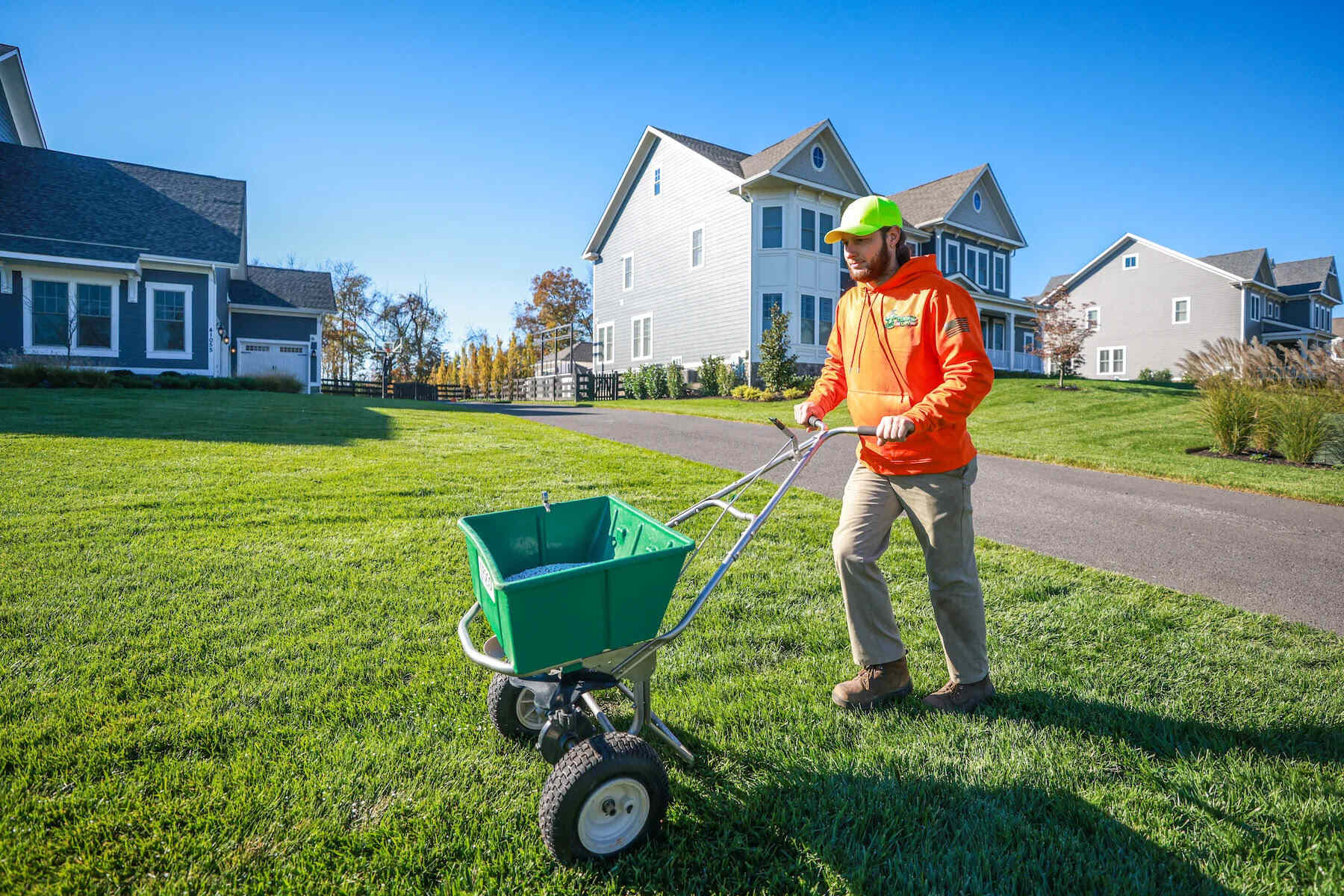 When To Plant Grass Seed Virginia