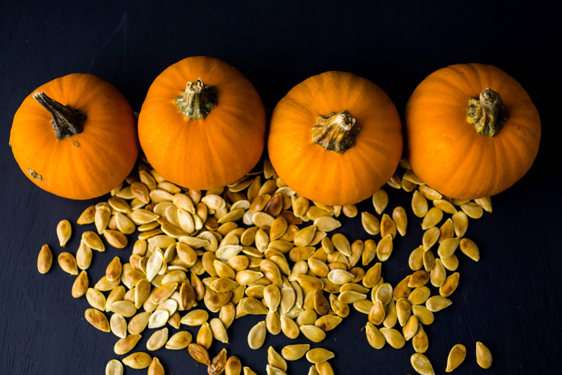 When To Plant Pumpkins Seeds